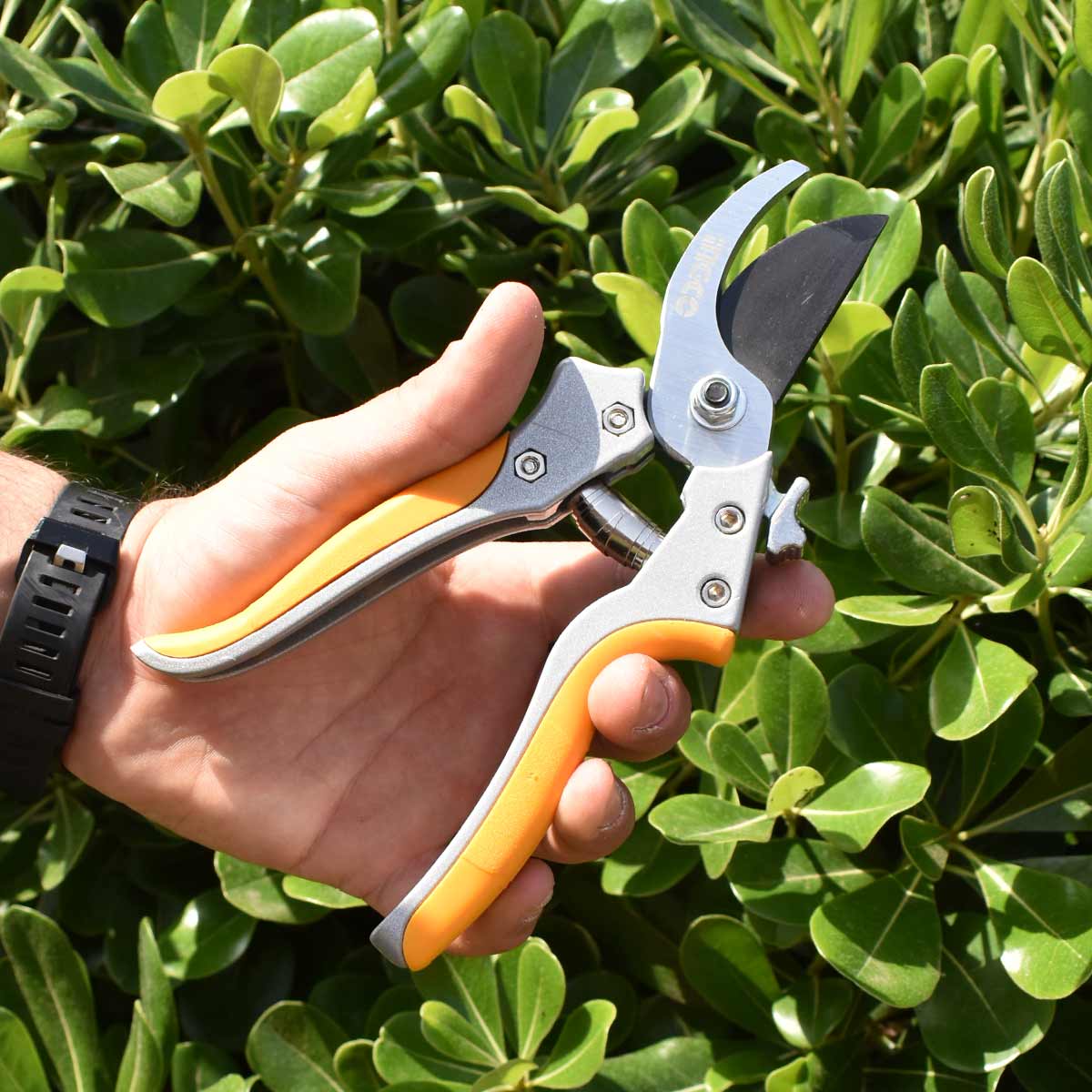 HPS0308 - SECATEUR 205MM INGCO Maroc